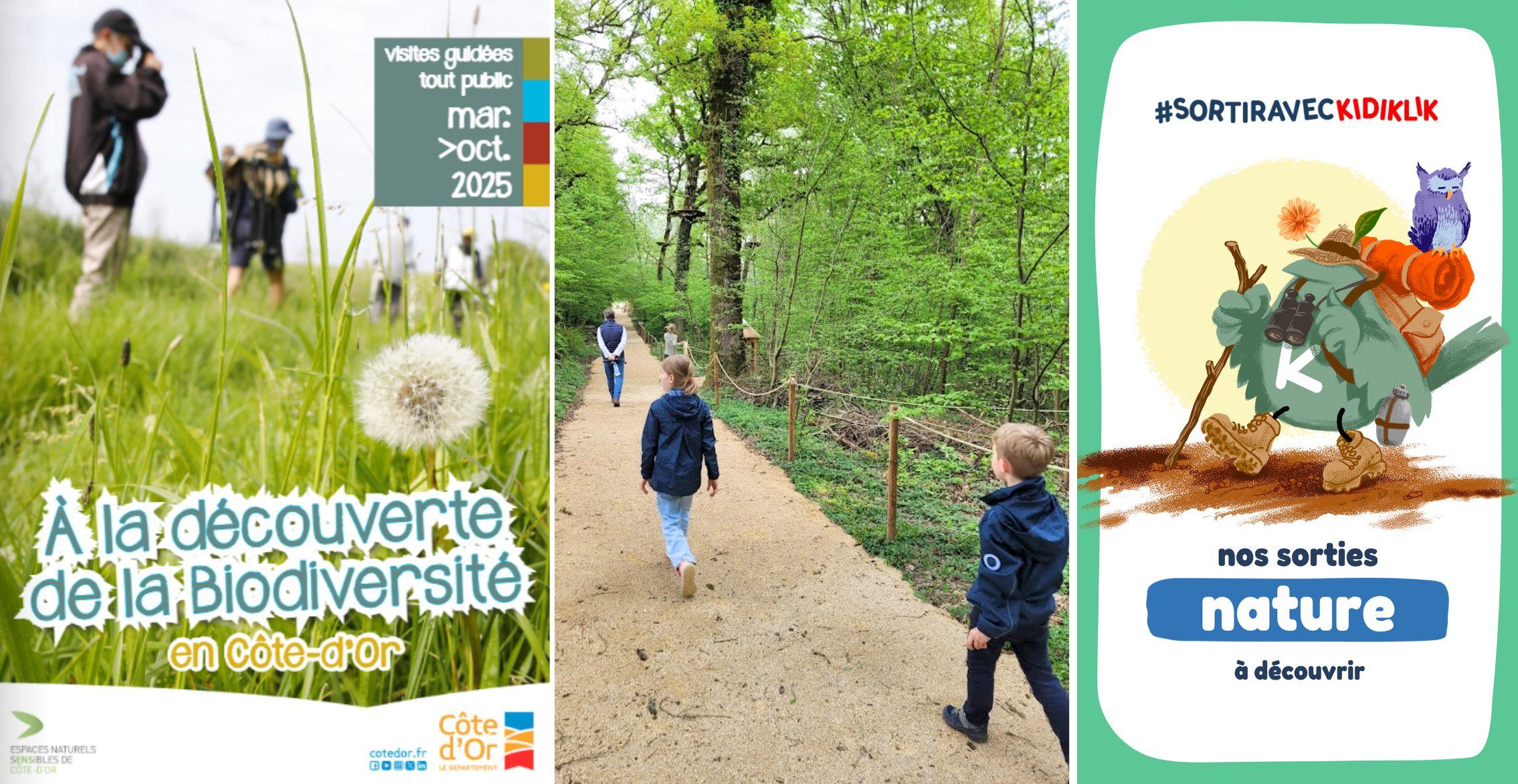 des-sorties-pour-explorer-la-nature-en-famille-en-c-te-d-or-kidiklik